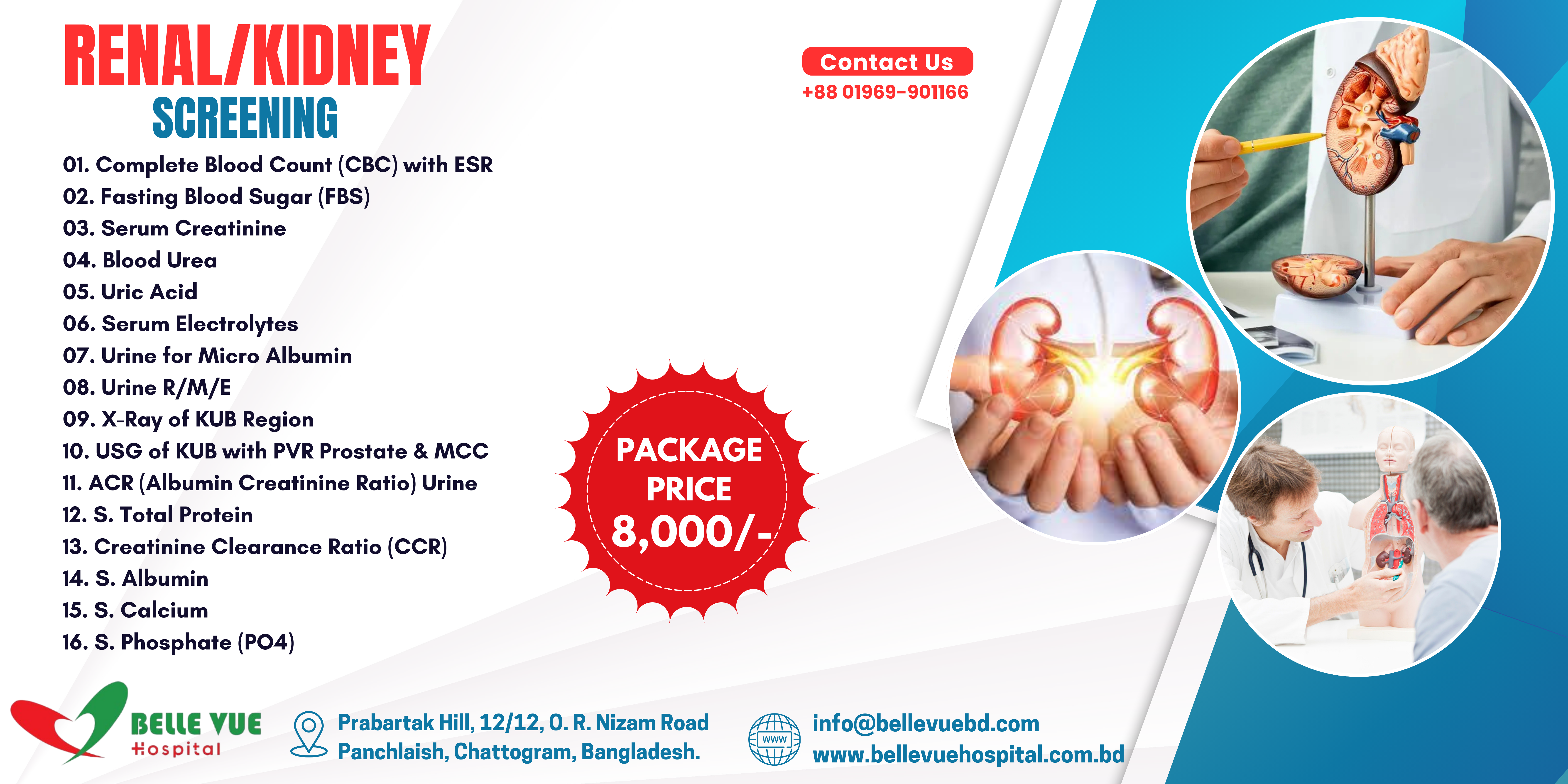 RENAL_KIDNEY